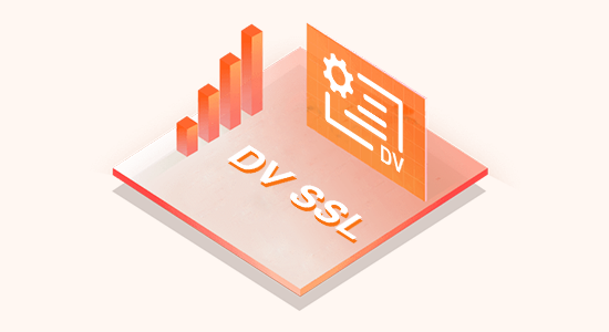 锐安信 DV 证书优势